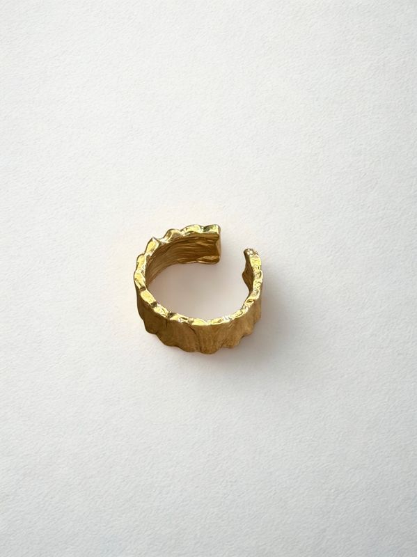 Francis Ring