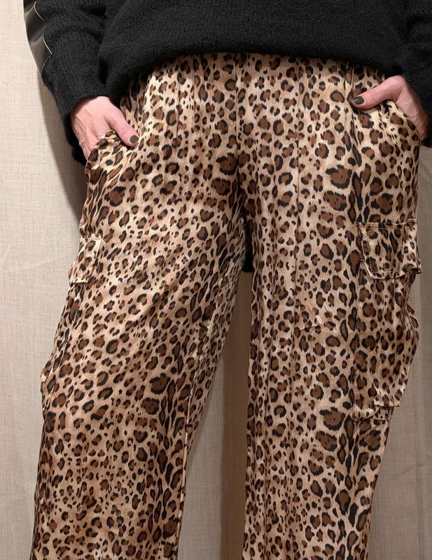 Leo Striped Cargo  Pants