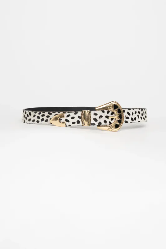 Dalmata Belt Piti Cuiti