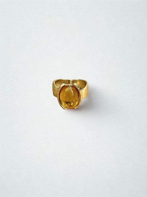 Dina Ring
